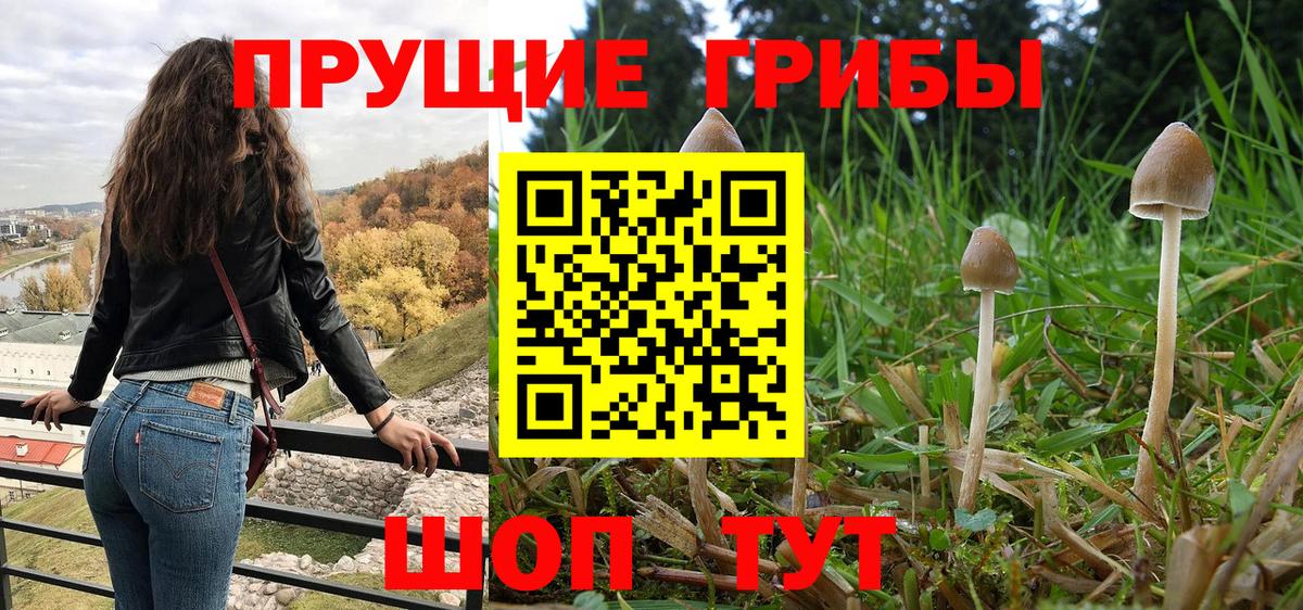 Псилоцибиновые грибы Psilocybine cubensis Нижнекамск